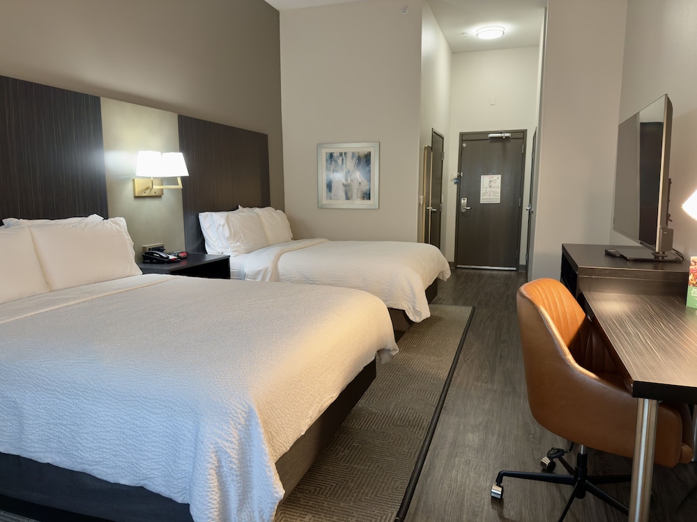 Holiday Inn Carlsbad by IHG - photo 10