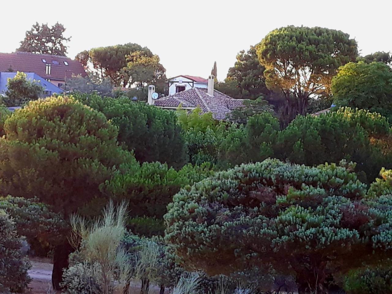 Acogedora Casa En Majadahonda — 4-Star Luxury Hotel in Majadahonda, Spain