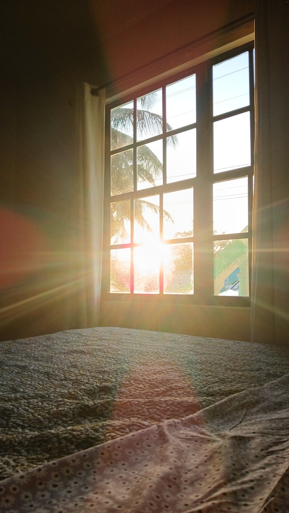 Bamboleo Inn Belize — Belize City — photo 4