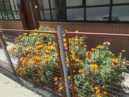 Apartman Vuković — Foca — photo 3