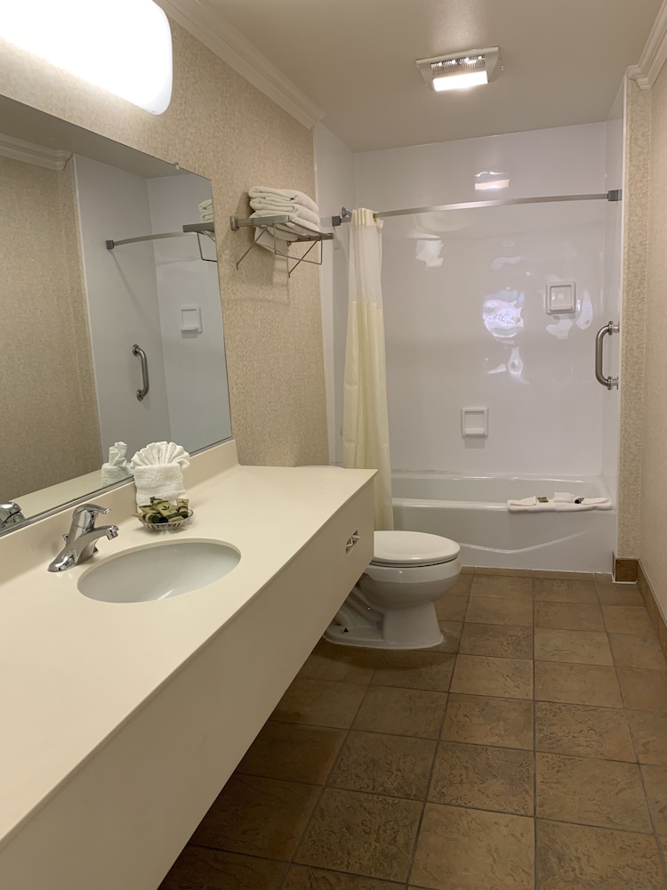 Olive Tree Inn & Suites by Howard Johnson WYNDHAM - photo 26