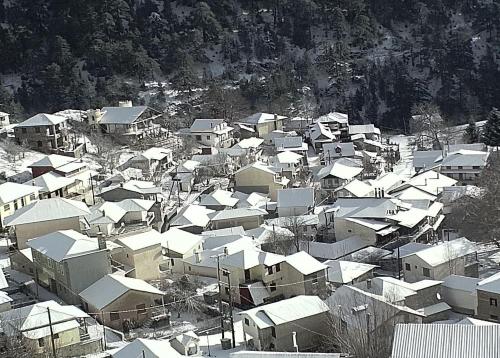 Villa Maria — Grevena — photo 4