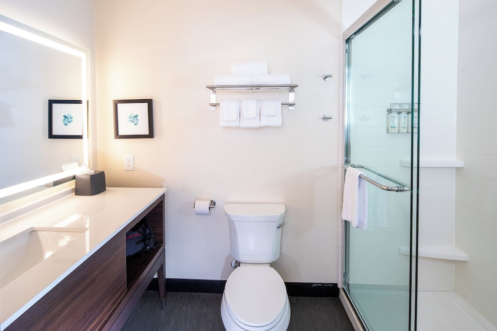 Holiday Inn & Suites Detroit Troy by IHG - photo 24