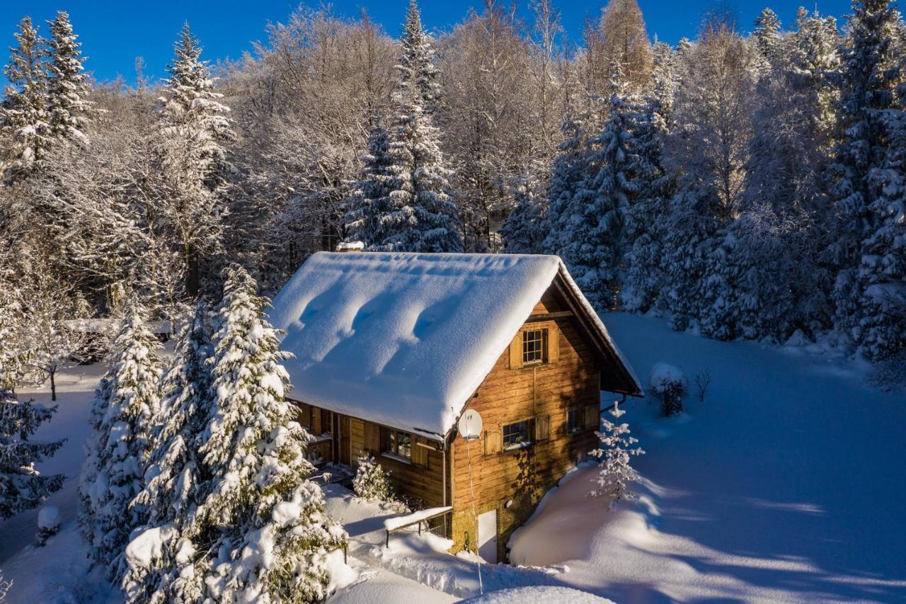 Chata Jarzebata in Wisla, Poland