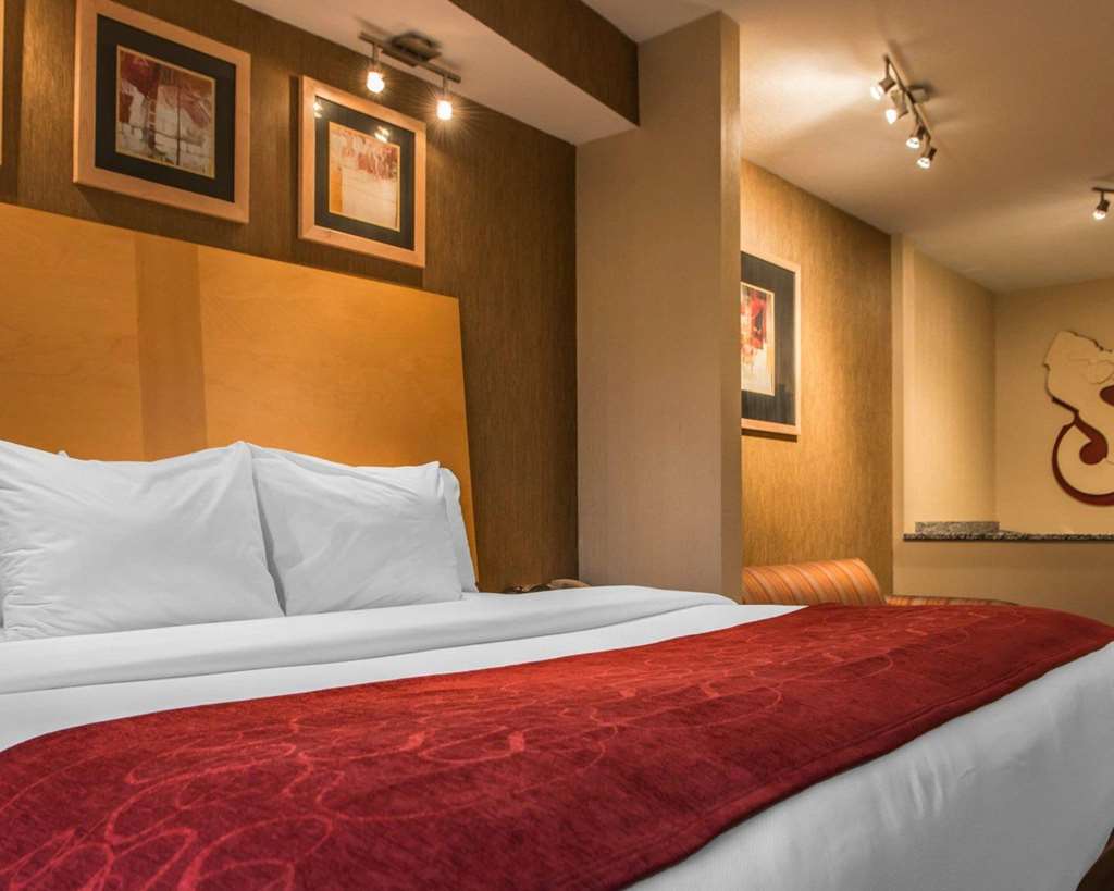 Comfort Suites Monroeville Pittsburgh East - photo 29