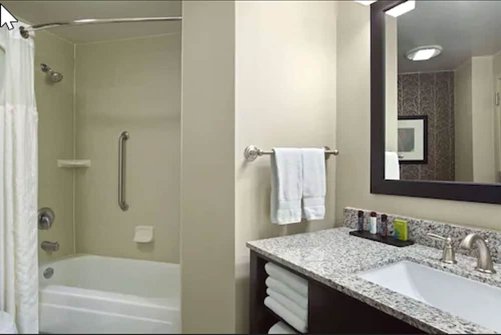 Embassy Suites by Hilton St. Louis Airport - photo 32