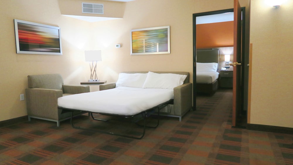 Holiday Inn Express & Suites Elk Grove Central Hwy 99 by IHG - photo 5