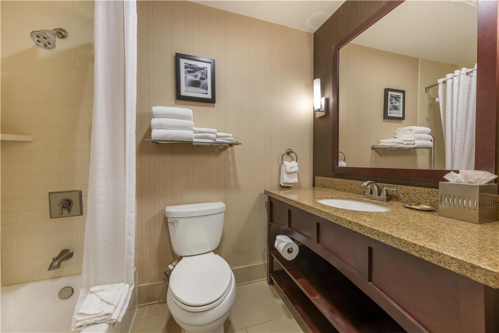 Best Western Plus Truckee Tahoe Hotel - photo 37