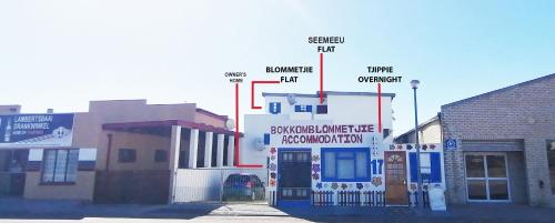 Bokkomblommetjie in Lambertʼs Bay, South Africa