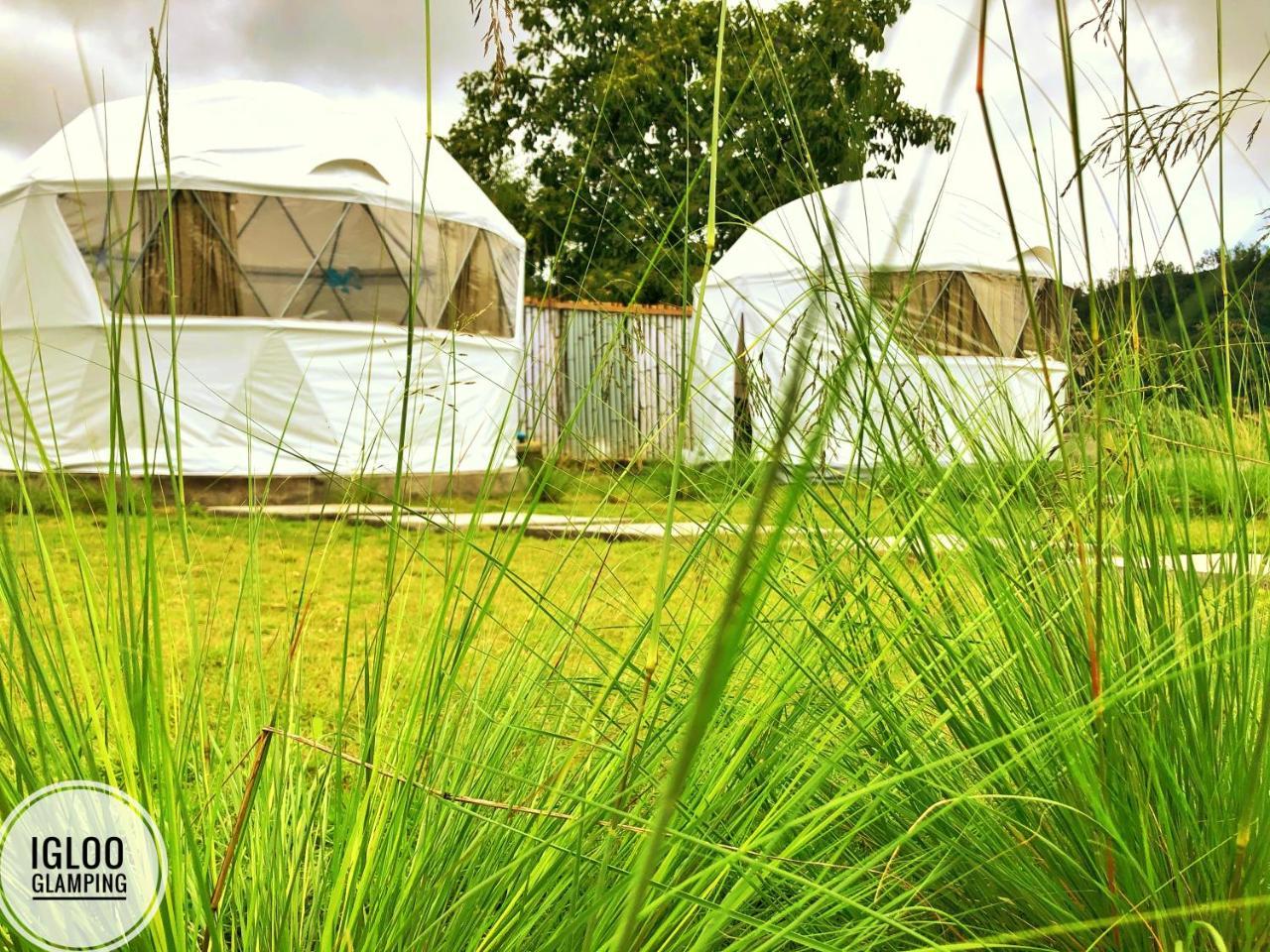Igloo Glamping Bali