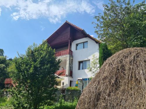 Tudor's Valea Doftanei — hotel in Traisteni