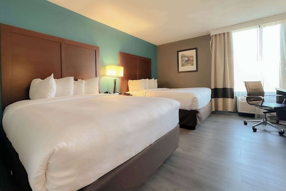 The Adventure Hotel by the parks - photo 8