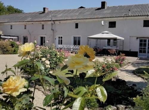 Le Vieux Logis — hotel in Montreuil-Bellay