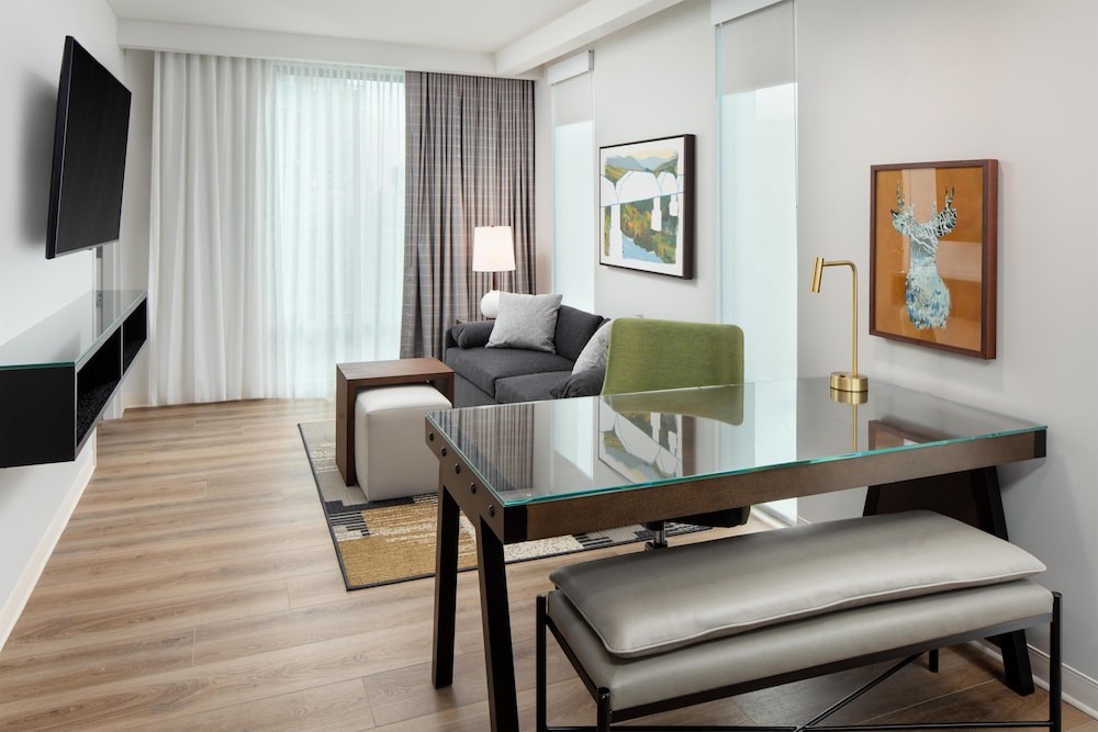 Embassy Suites By Hilton Chattanooga Downtown - photo 40