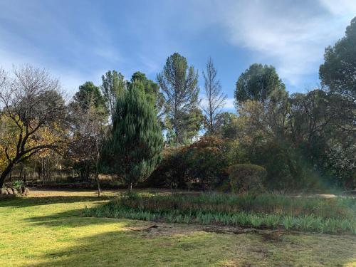 Rhoom — Burgersdorp — photo 3