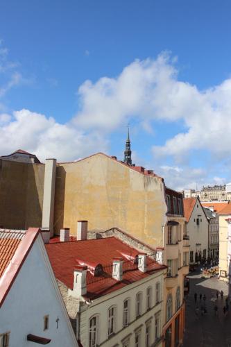 Viru Backpackers Hostel