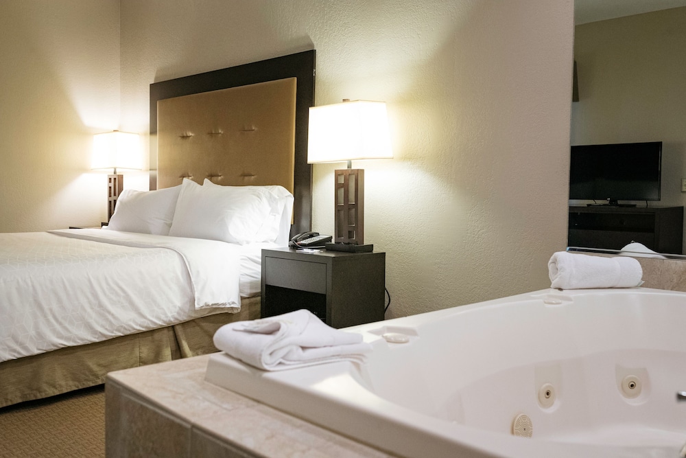 Holiday Inn Express Hotel & Suites Olathe North by IHG - photo 29