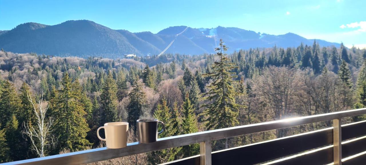 Silver Mountain Panoramic View C48 — 4-Star Luxury Hotel in Brasov, Romania
