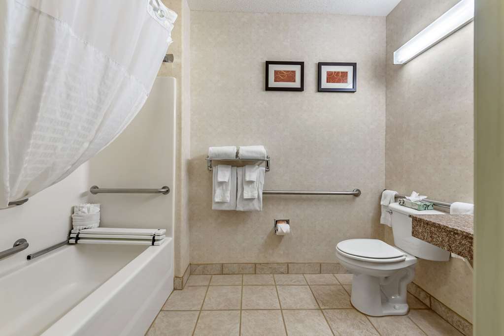 Comfort Suites Castle Rock - photo 16