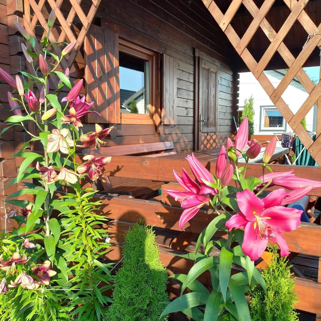 Domki Monte Kristo in Darlowo, Poland