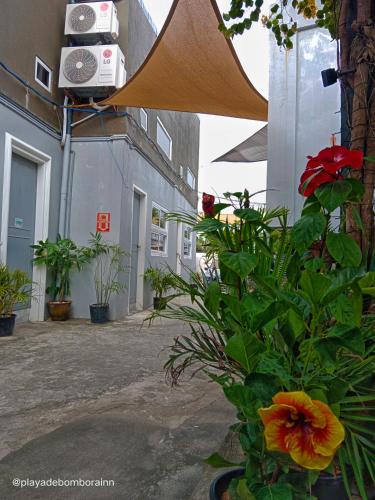 Playa De Bombora Inn — Cabugao