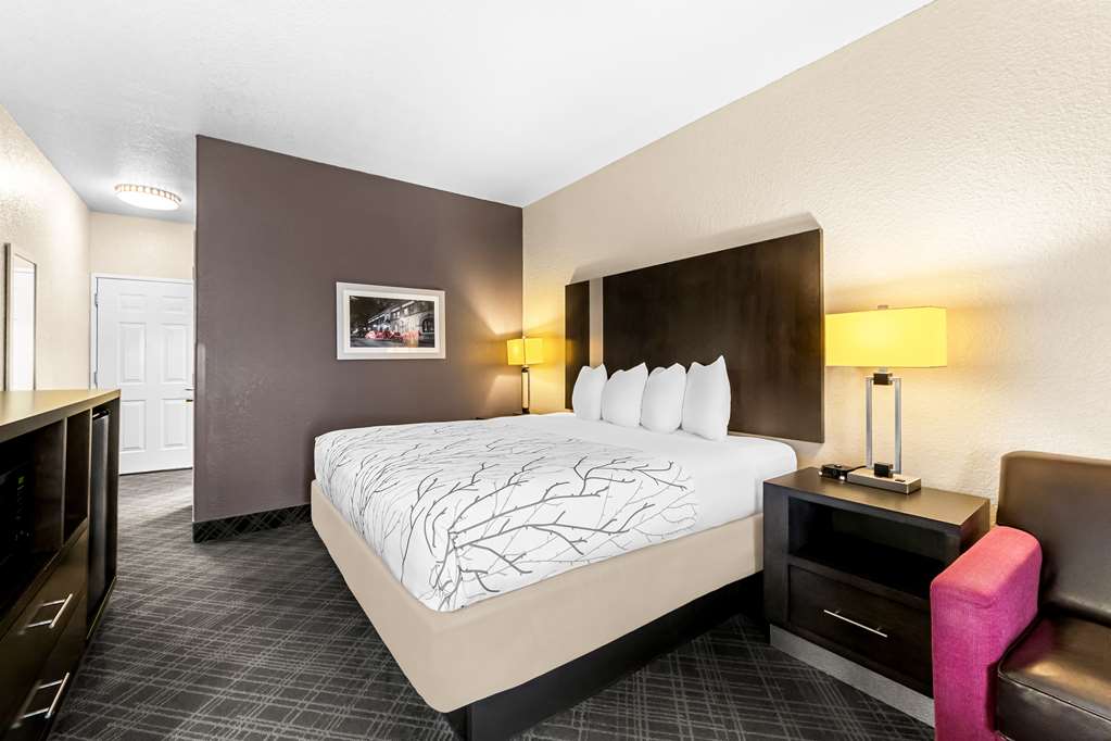 Best Western Boerne Inn & Suites - photo 13