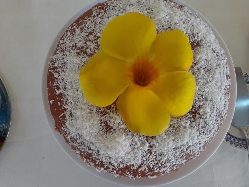 Pousada Recanto Dos Corais in Camacari, Brasil