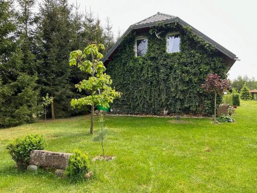Pucowka Na Skraju Puszczy Bialowieskiej 19805527 — Hajnowka