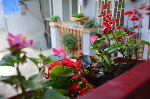 Stumari Apartaments