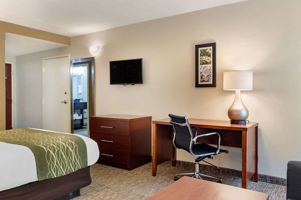 Comfort Inn Douglasville Atlanta West - photo 15