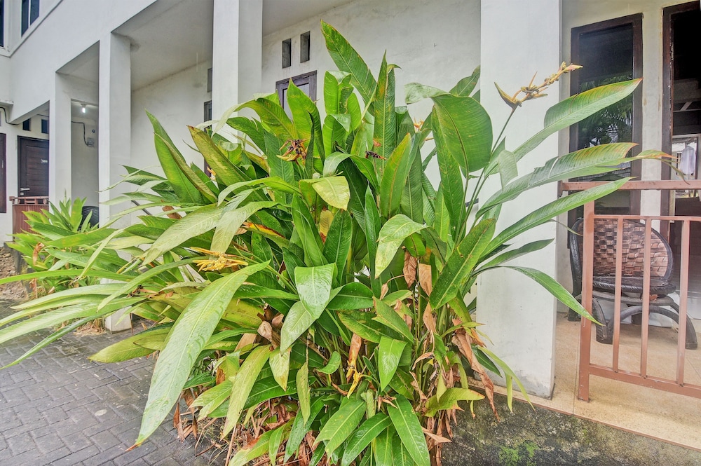 92964 Kost 99 — Manado — photo 4