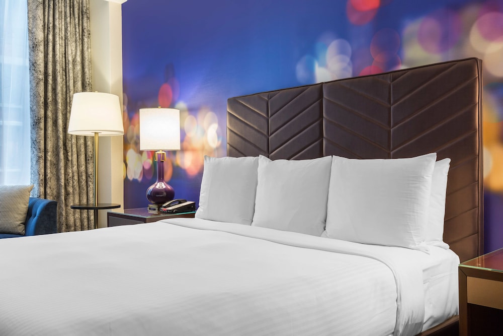 The Chicago Hotel Collection Magnificent Mile - photo 8