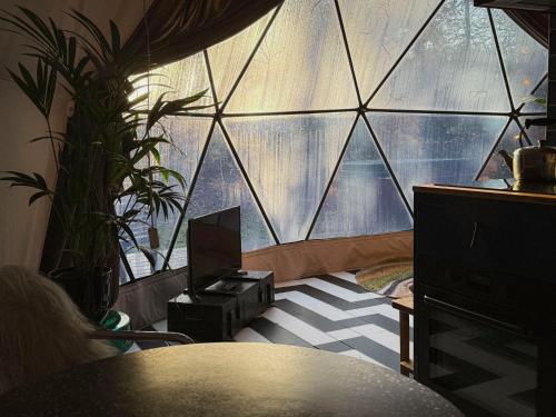 Stay Classy Domes — Otterlo — photo 5