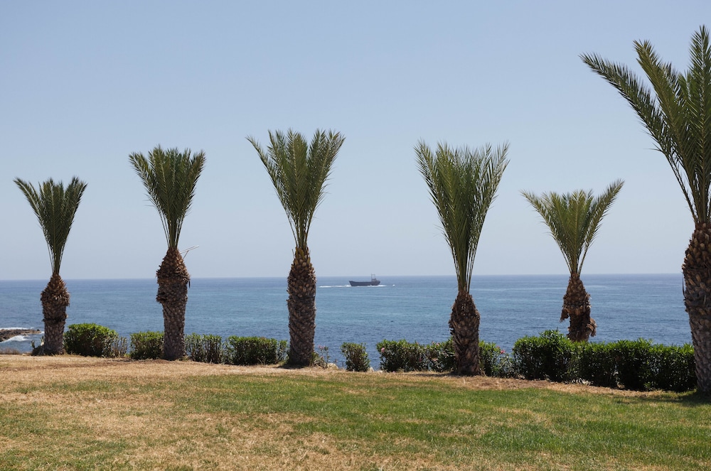 מראה חיצוני