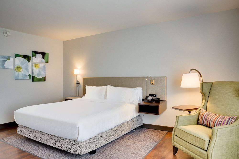 Hilton Garden Inn North Houston Spring - photo 17