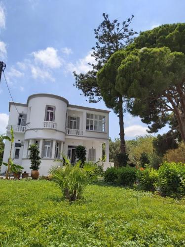 Tower traditional villa — hotel in Kremasti