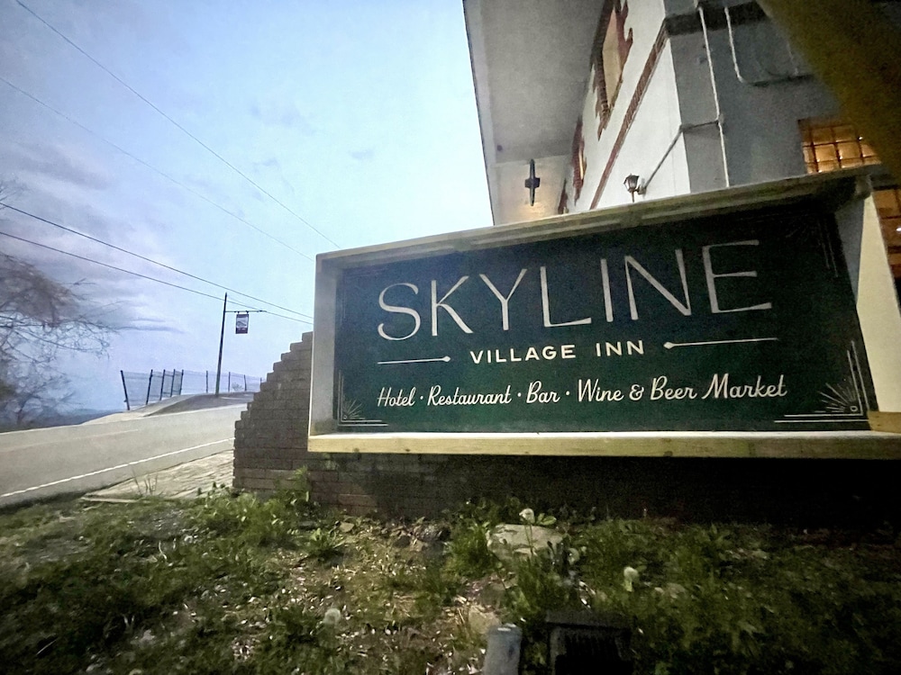 Skyline Village Inn - photo 126