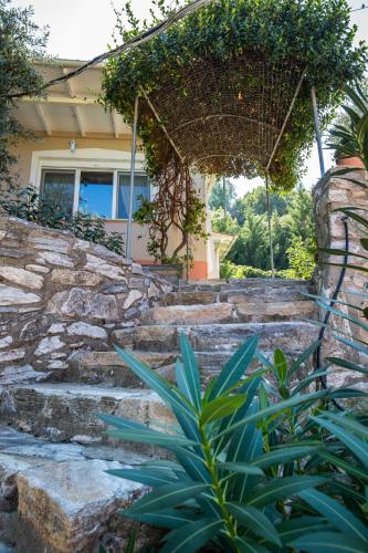 Sarimpalas in Thasos, Greece