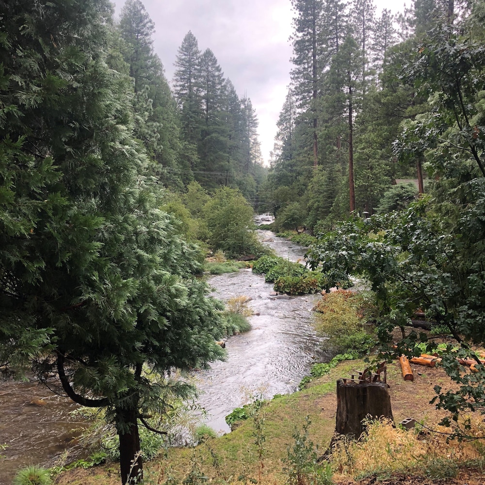 Sierra Inn on the River - photo 15