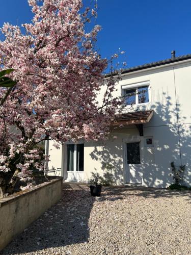 Les Magnolias à 5 minutes du Lac du Der - carbon neutral hotel in Ambrieres-Les-Vallees