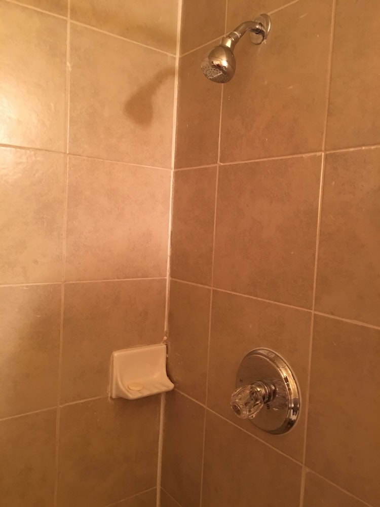 Reddy Inn and Suites - photo 33