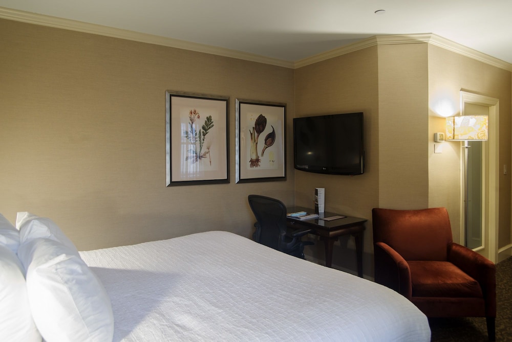 Chestnut Hill Hotel - photo 16