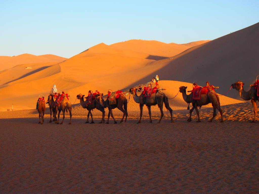 Carnival International Hotel in Jiuquan, People's Republic of China