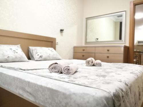 Besiki Luxury Apartments
