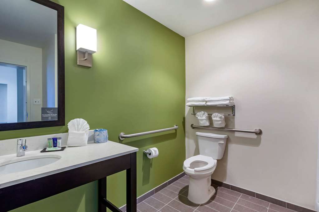 Sleep Inn & Suites Tampa South - photo 26