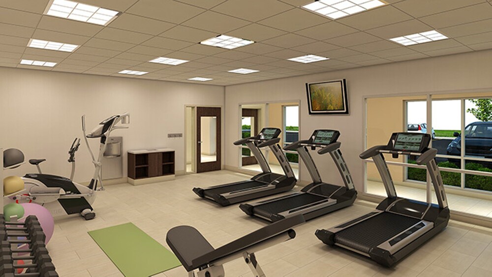 Holiday Inn Express & Suites Stafford NW Sugar Land by IHG - photo 27