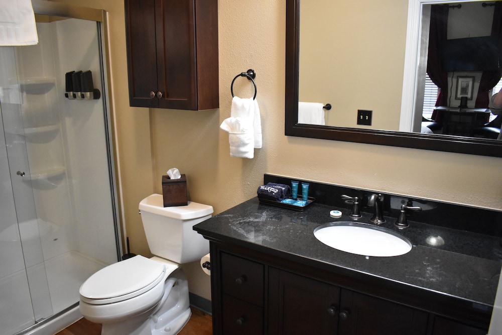Silver Horseshoe Inn - photo 46