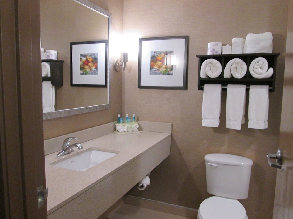 Holiday Inn Express Cloverdale by IHG - photo 50