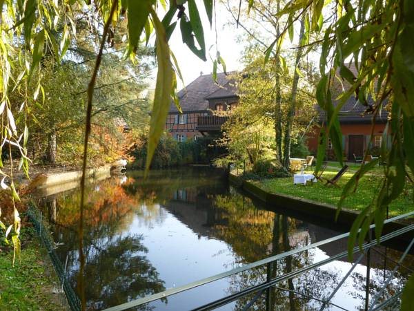 Hôtel le Moulin - last minute hotel in Gundershoffen