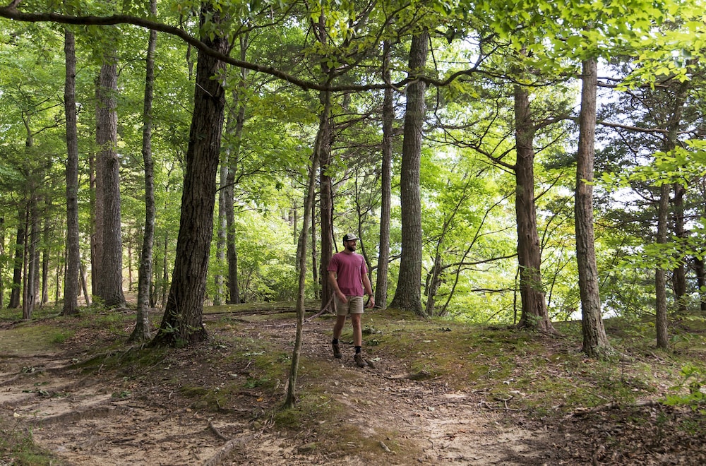 Dale Hollow Lake State Resort Park - photo 15